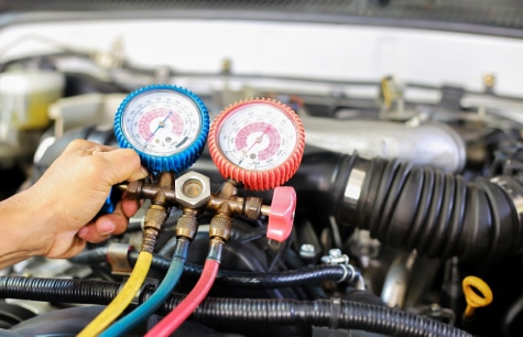 Kas aktualu pagal sezoniškumą